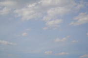DSC_0575.JPG